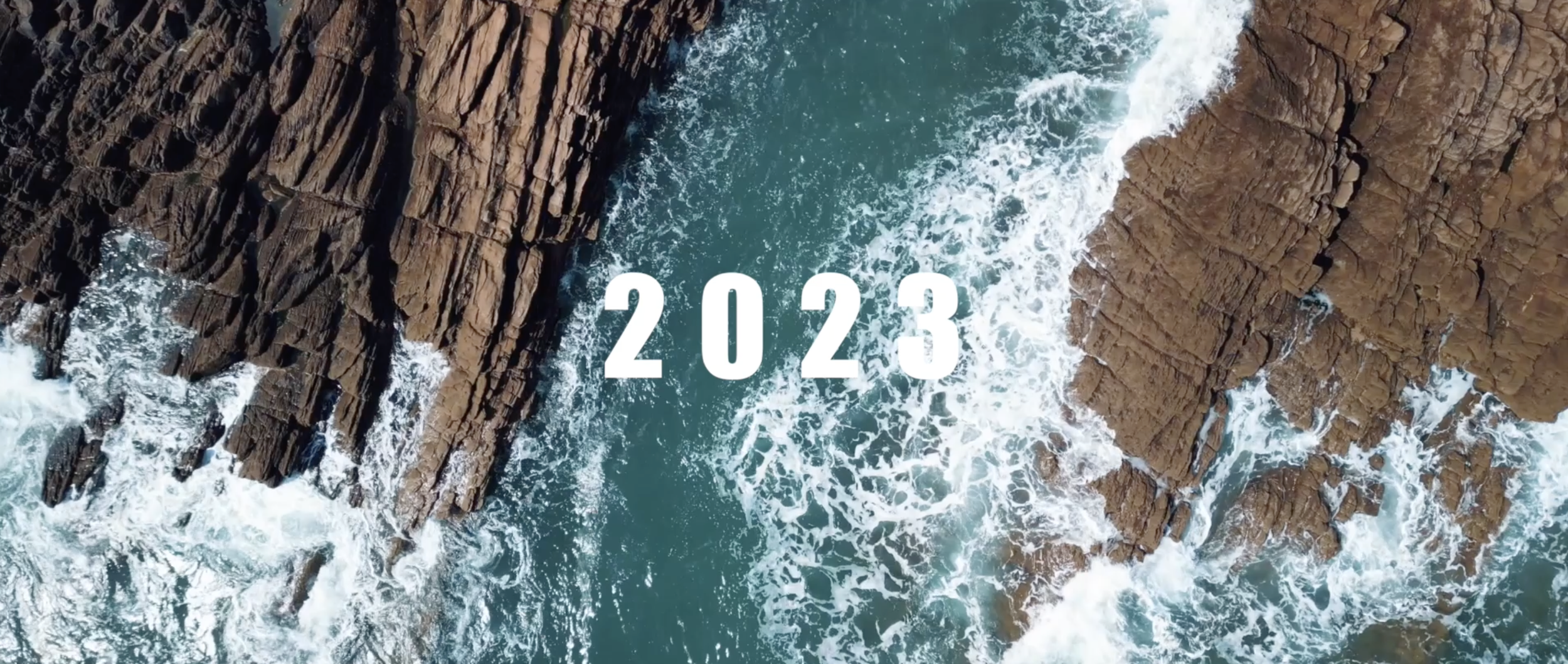 End of Year 2023 Film Round up!