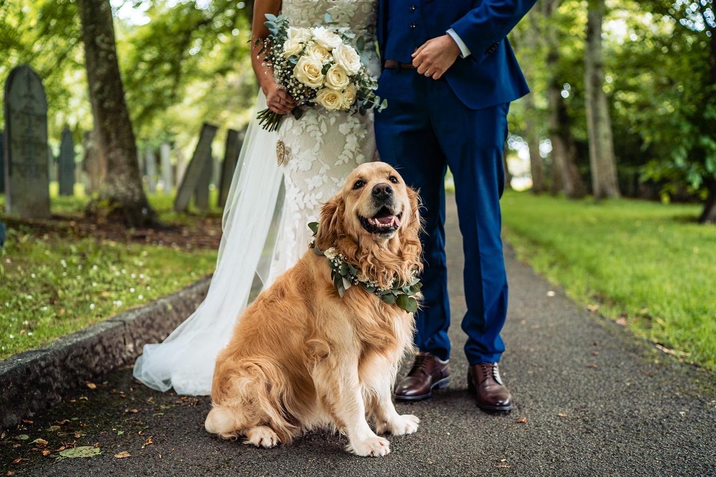 dogs at weddings 4.JPG