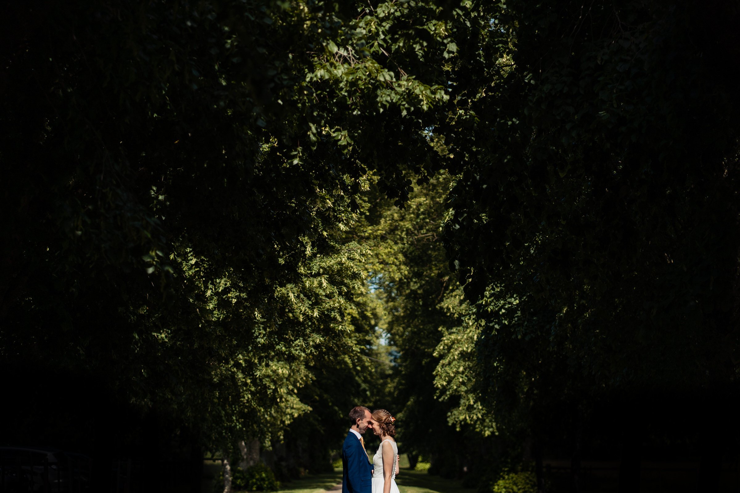 wedding - bride - groom - portrait - trees - devon.jpg