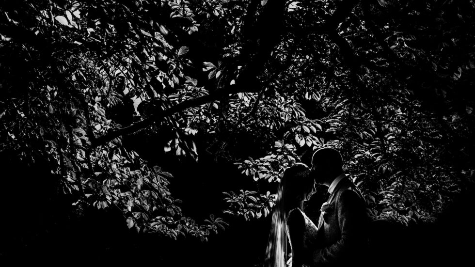 Devon wedding photography: Bride and groom silhouette under a tree. Yeti Wedding Photography.