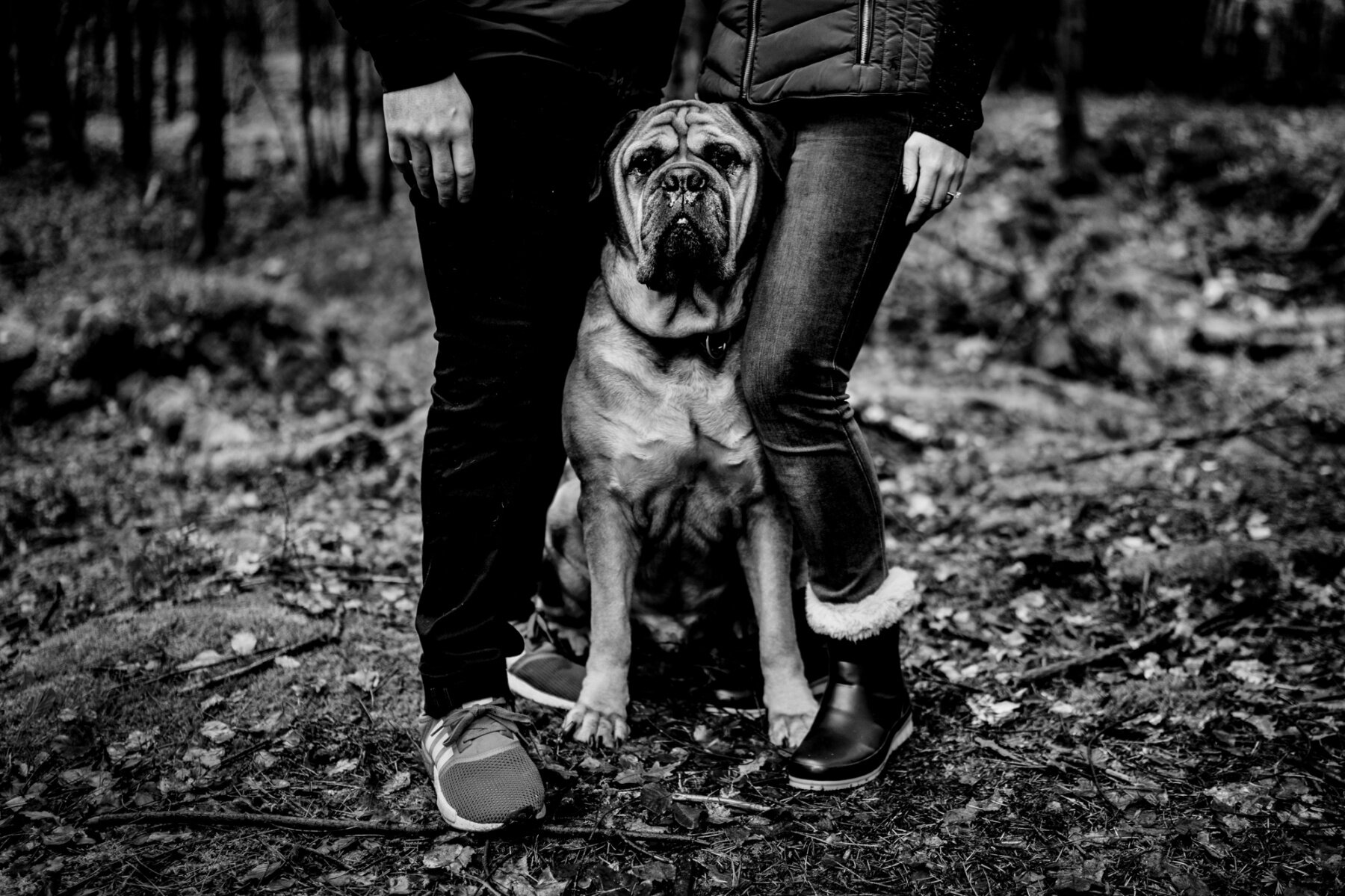 Devon-family-photographer-yeti DSC04194.jpg