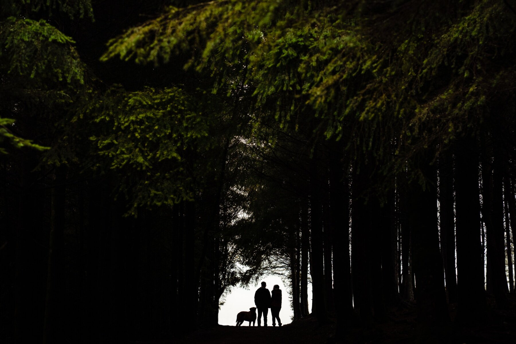 Devon-family-photographer-yeti DSC04308-Edit.jpg