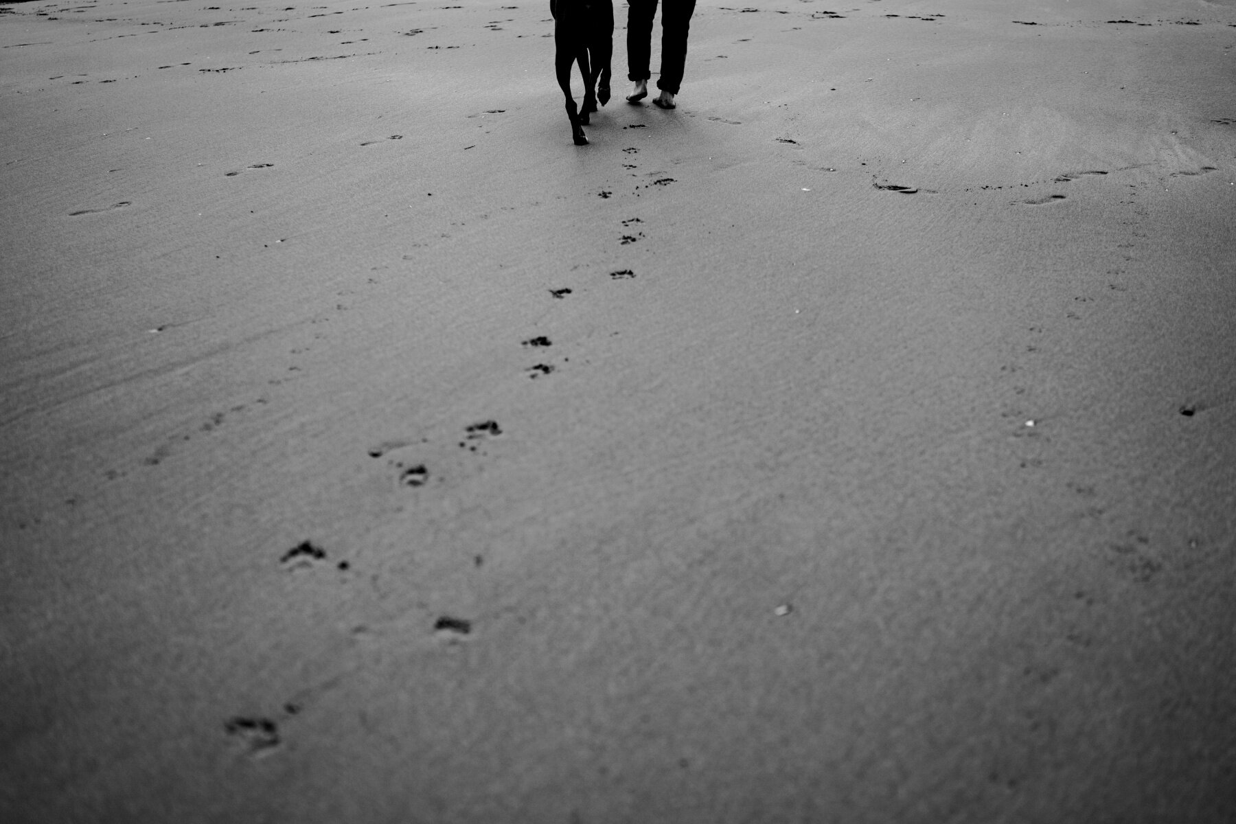 Devon-family-photographer-yeti DSC07662.jpg