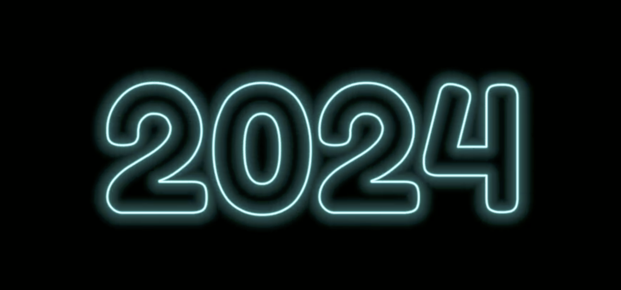 2024 - What a hoot! Some of my highlights!