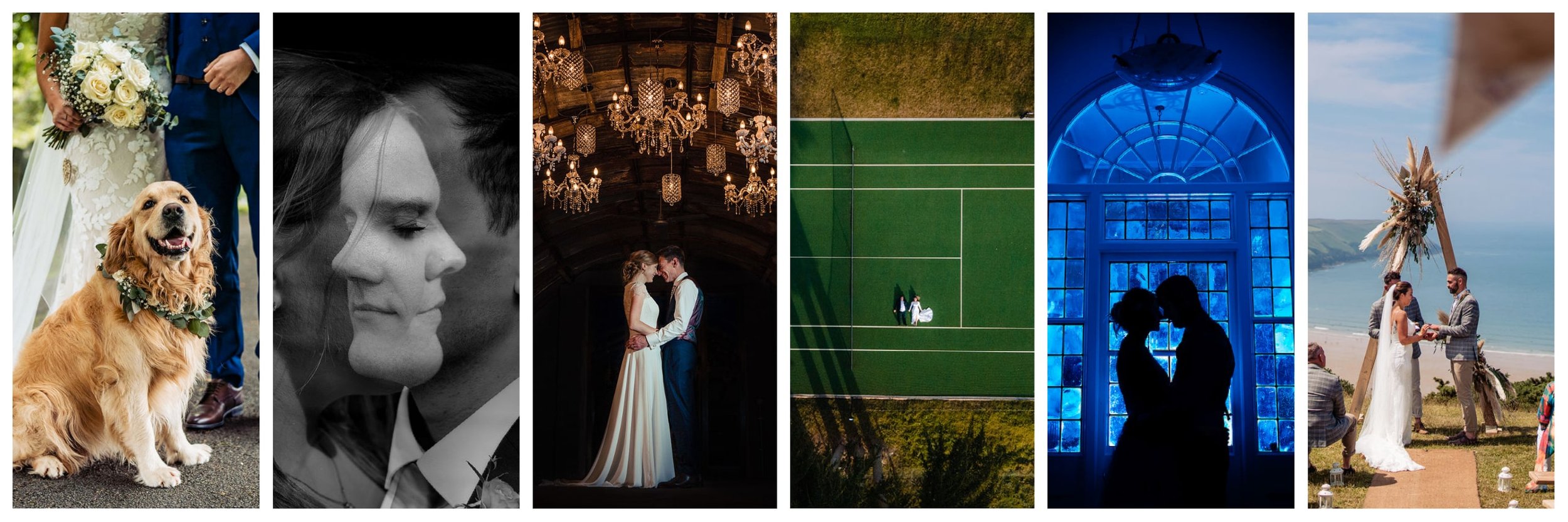 devon wedding photographer portfolio showing weddings from higher eggbeer deer park anran and north devon